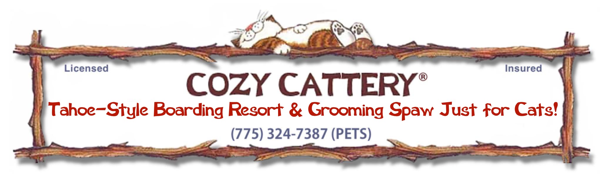 Cozy Cattery: Tahoe Style Boarding Resort Just for Cats!