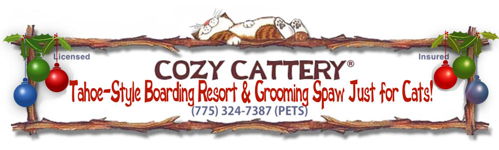 Cozy Cattery: Tahoe Style Boarding Resort Just for Cats!